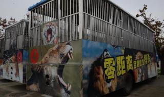 秦岭野生动物园路线 秦岭野生动物园路线